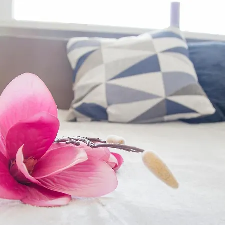 Homestay Goscinne
